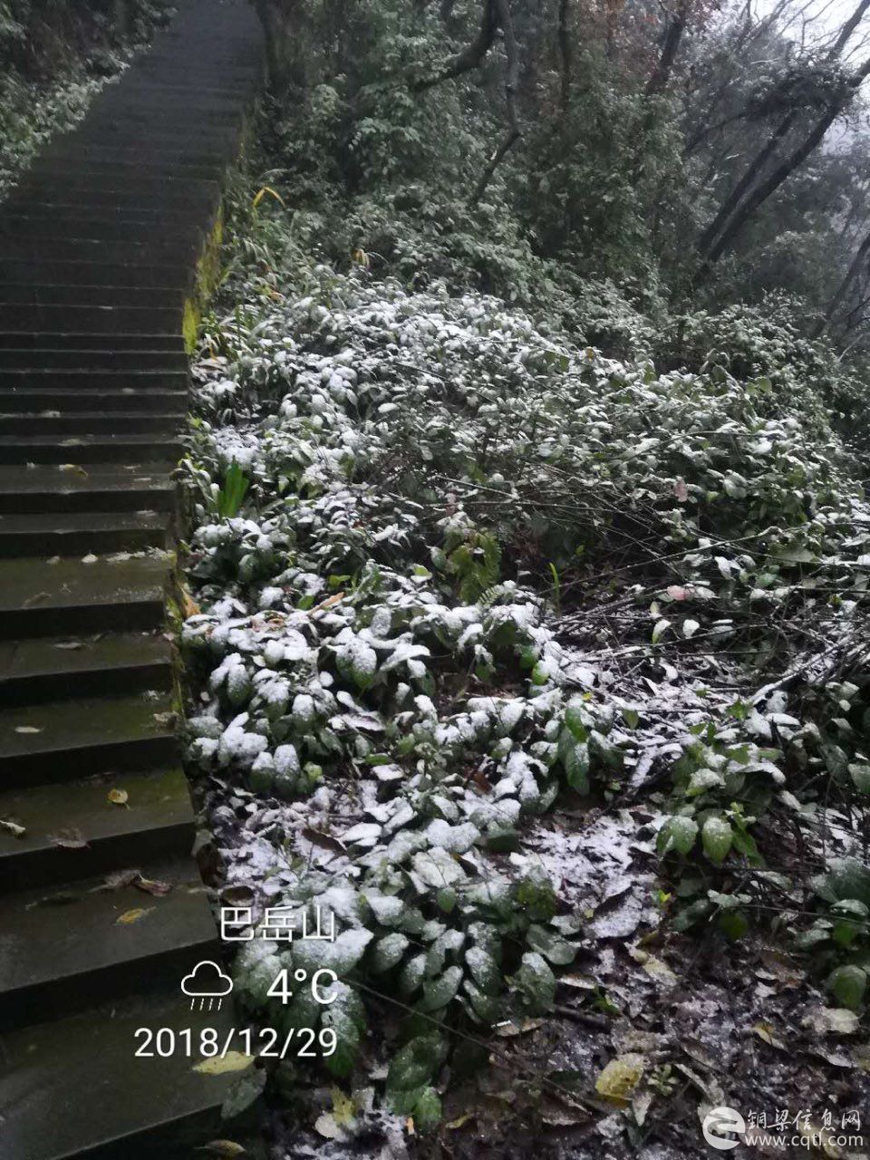 铜梁巴岳山下雪了！