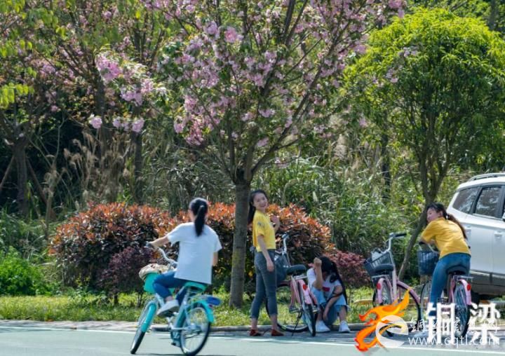 铜梁玄天湖青山绿水好惬意  周末市民游客忙健身