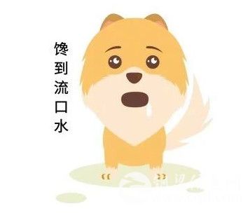 摘李子了！6月16日铜梁砂糖李采摘季开幕！