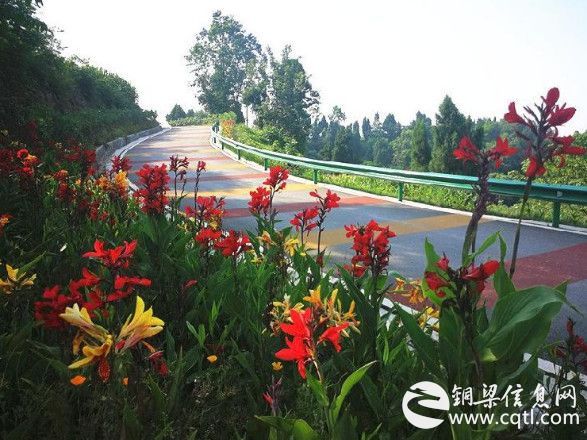 鲜花相伴 铜梁公路环境全面升级