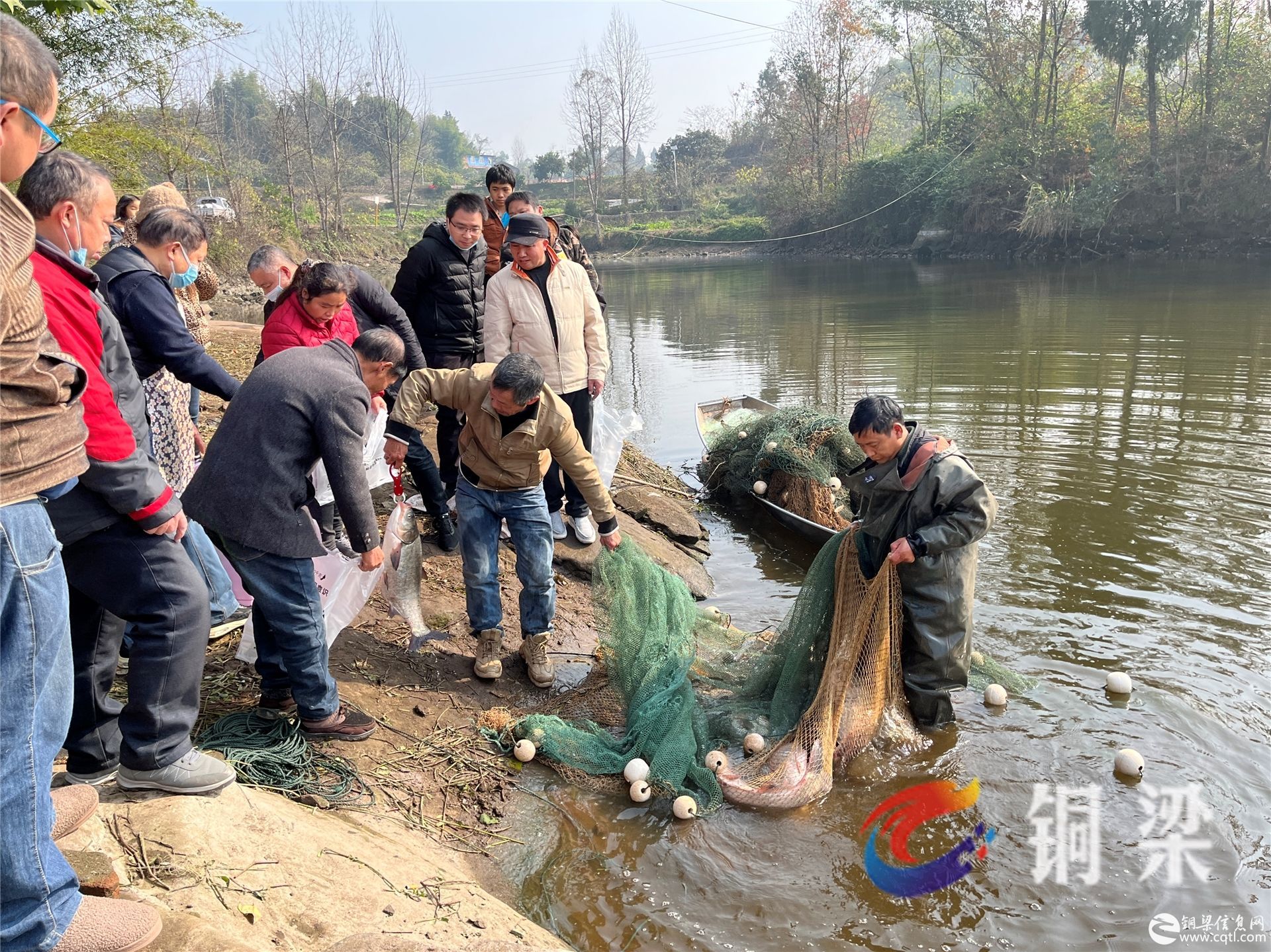 年年有“鱼”！巴川街道千年村集体经济喜获丰收