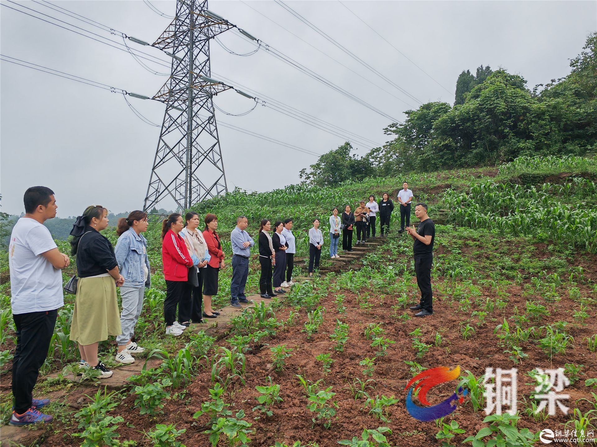 全力推进耕地恢复 严守耕地保护红线