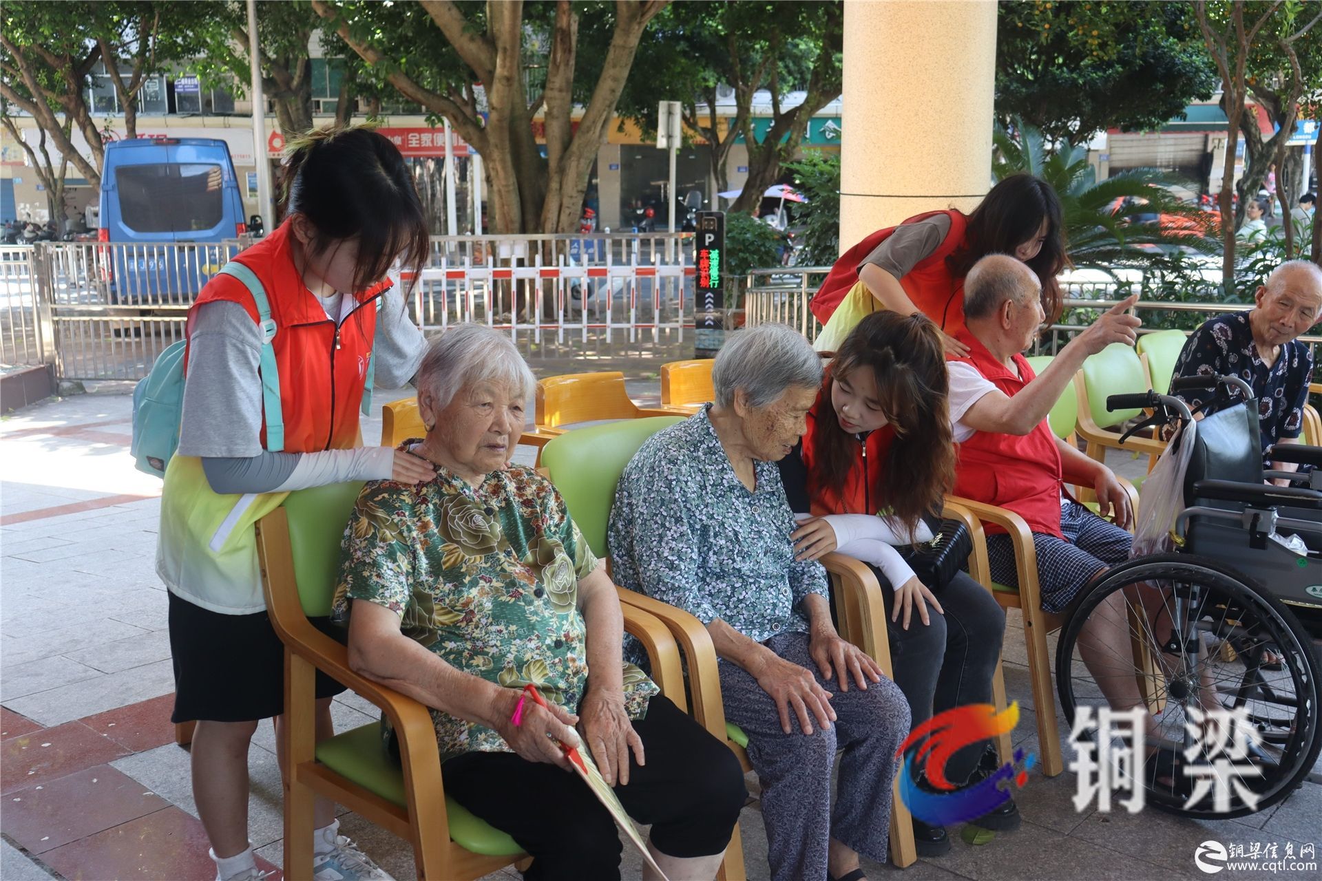 为乡村振兴注入青春力量！这群大学生在行动