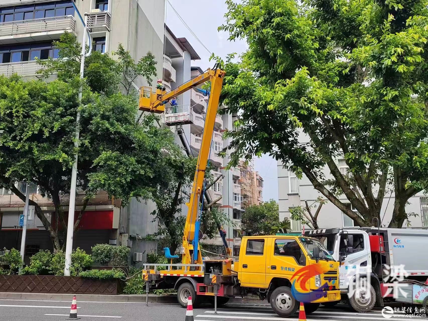 修剪树枝除隐患 为民服务“剪”烦恼