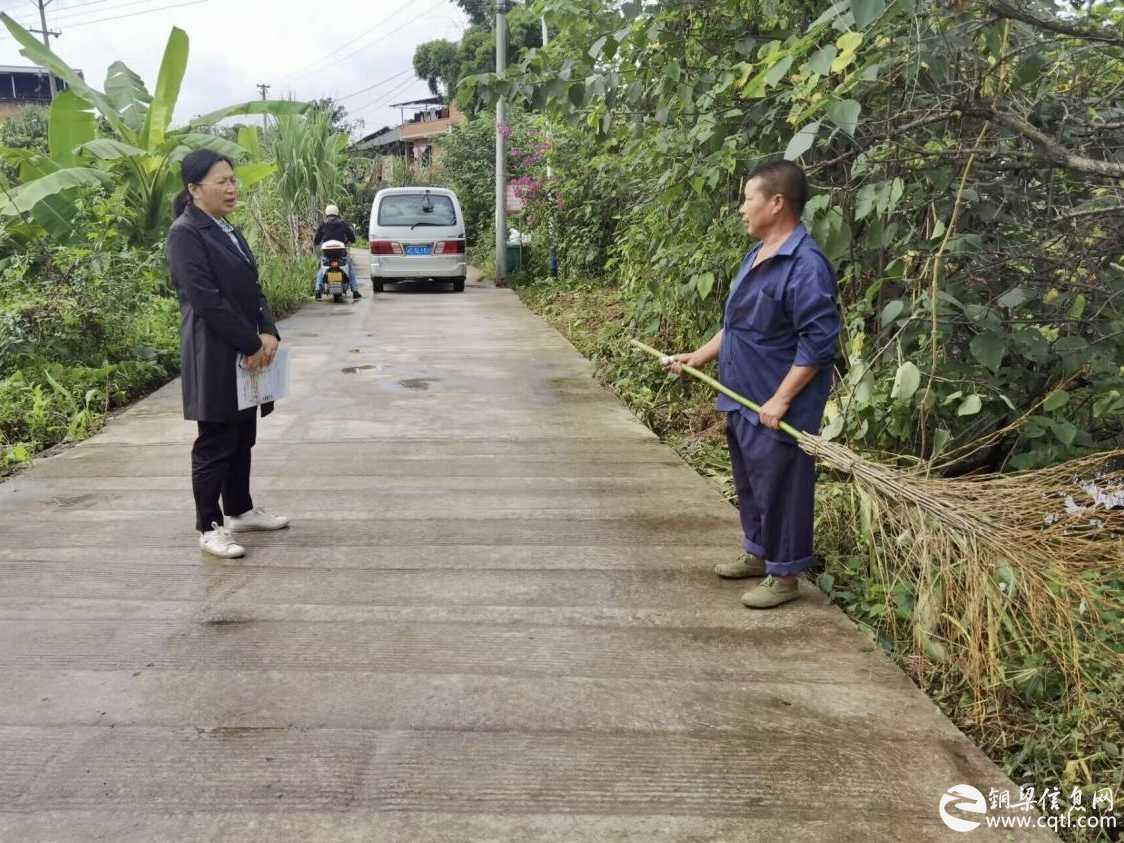 东城街道：发挥公益性岗位作用  助力人居环境提升