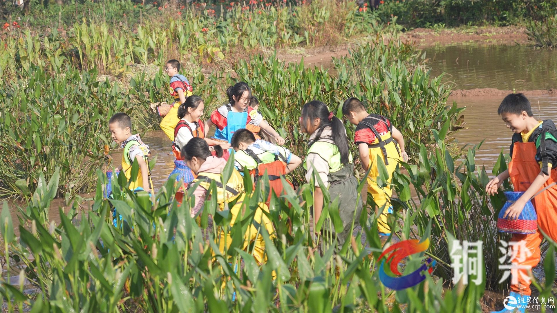 铜梁区青少年综合实践基地：下田捉鱼，烧火煮饭，学生在六赢村体验农耕快乐