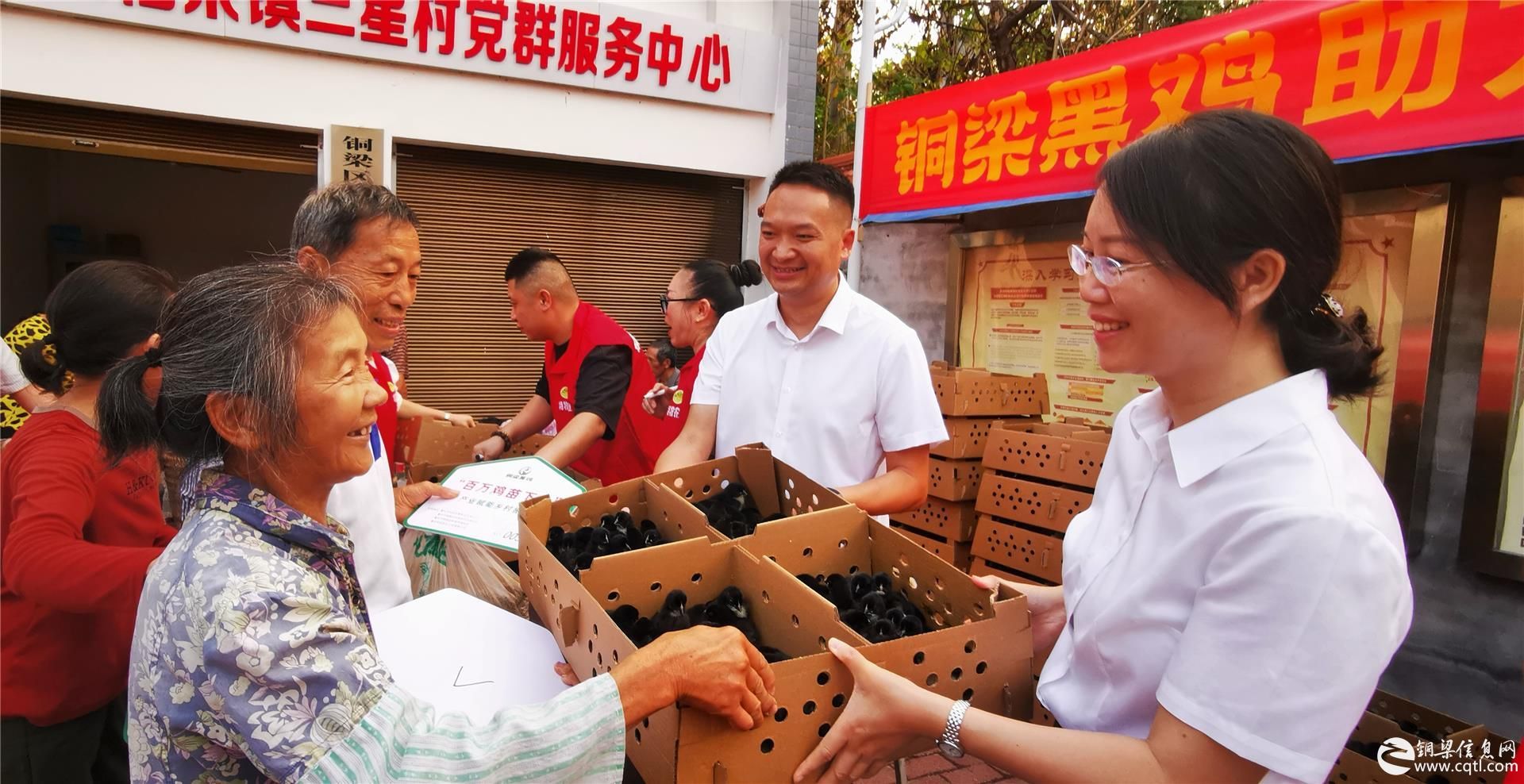 铜梁：民建会员为村民免费送100万只铜梁黑鸡鸡苗