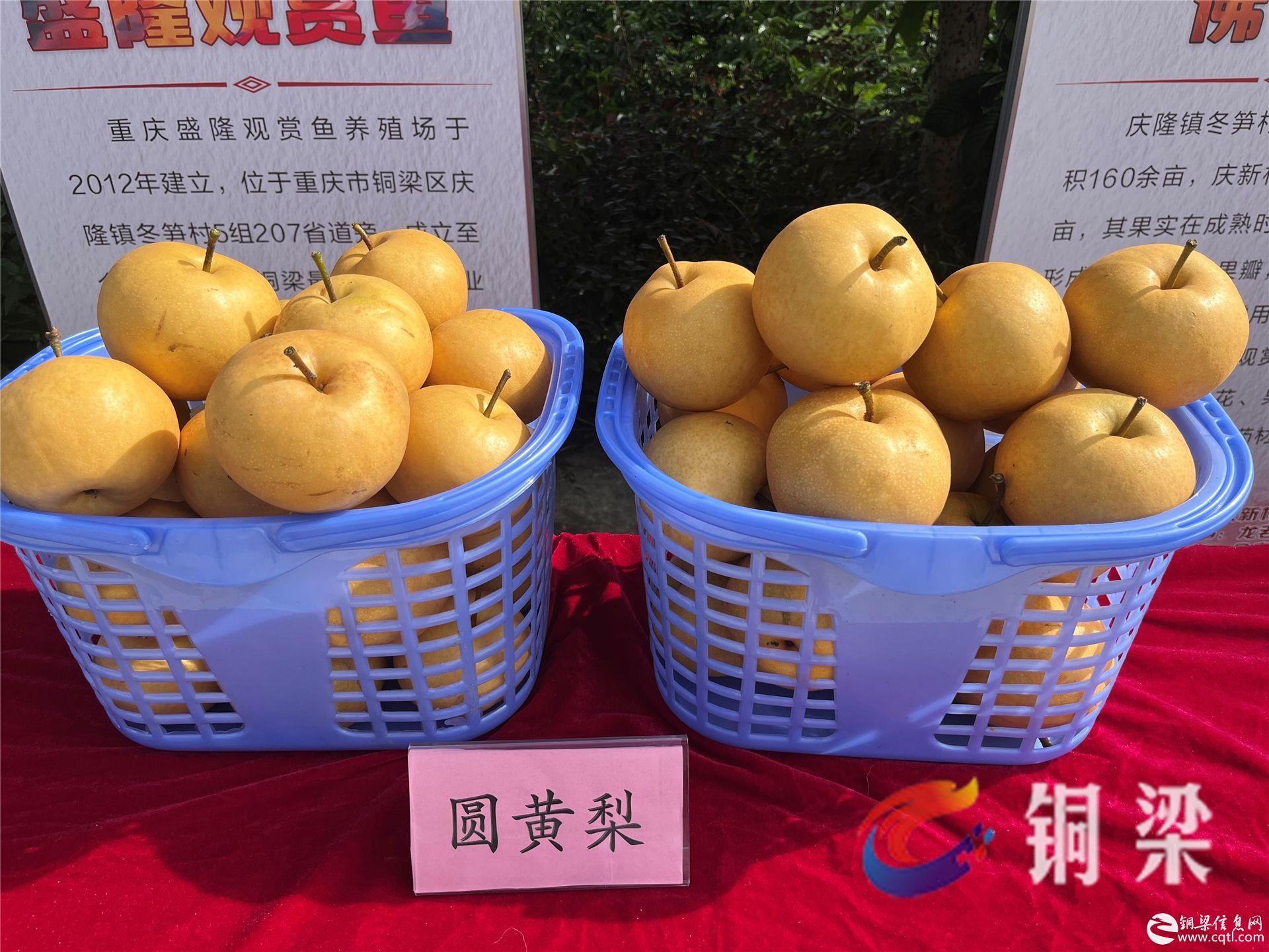 市郊铁路璧铜线通车，快来“解锁”铜梁美食美景