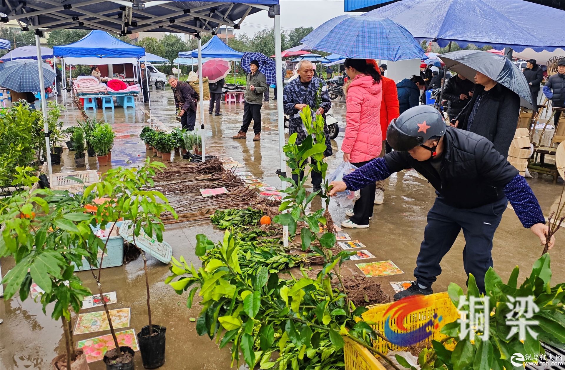 铜梁高新区：实干跑出“加速度”